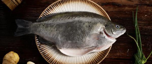 寒冷的冬天要吃魚，暖胃養生還好吃，這五種冬天吃的魚你吃過了嗎