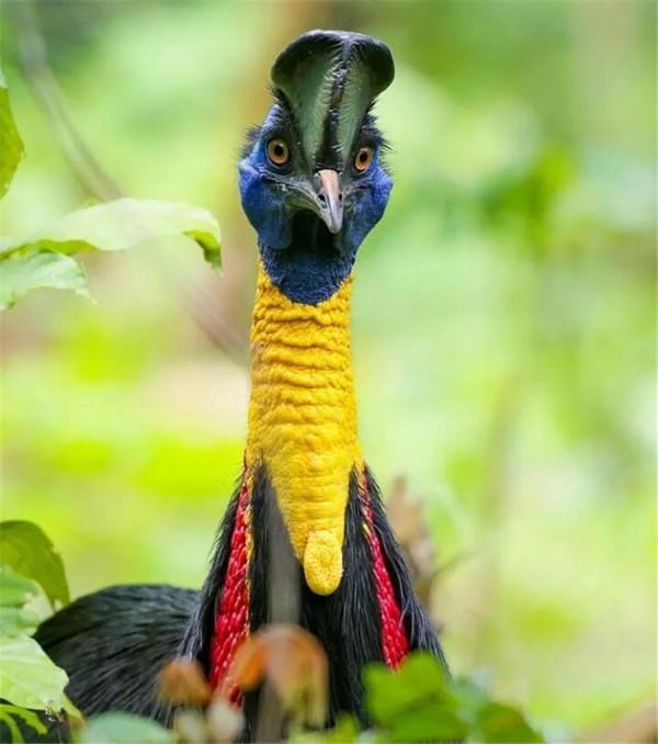 看！這些鳥兒像&hellip;&hellip;