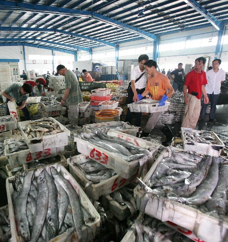 我,出海打魚十五年,月薪1.2萬,最後差點命喪大海 我,出海打魚十五年,月薪1.2萬,最後差點命喪大海