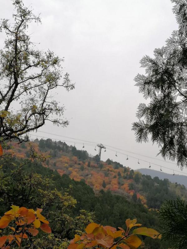 重溫香山紅葉美景 重溫香山紅葉美景