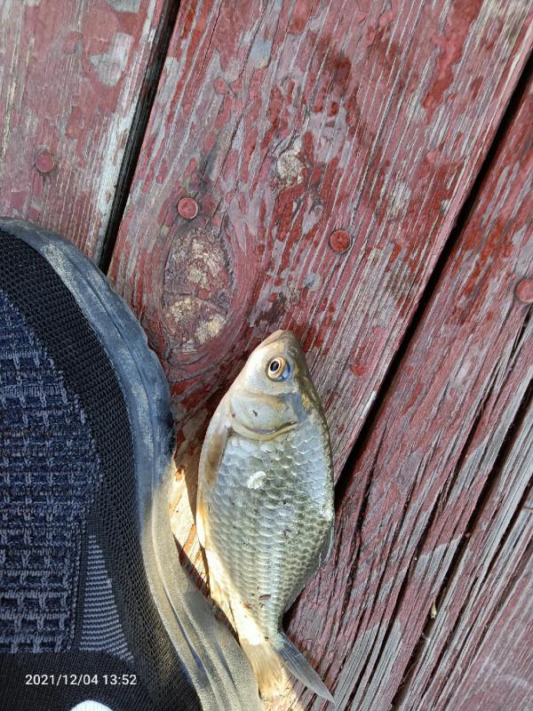 天氣越好魚口越不好，你贊意這個的觀點嘛，歡迎大師留言