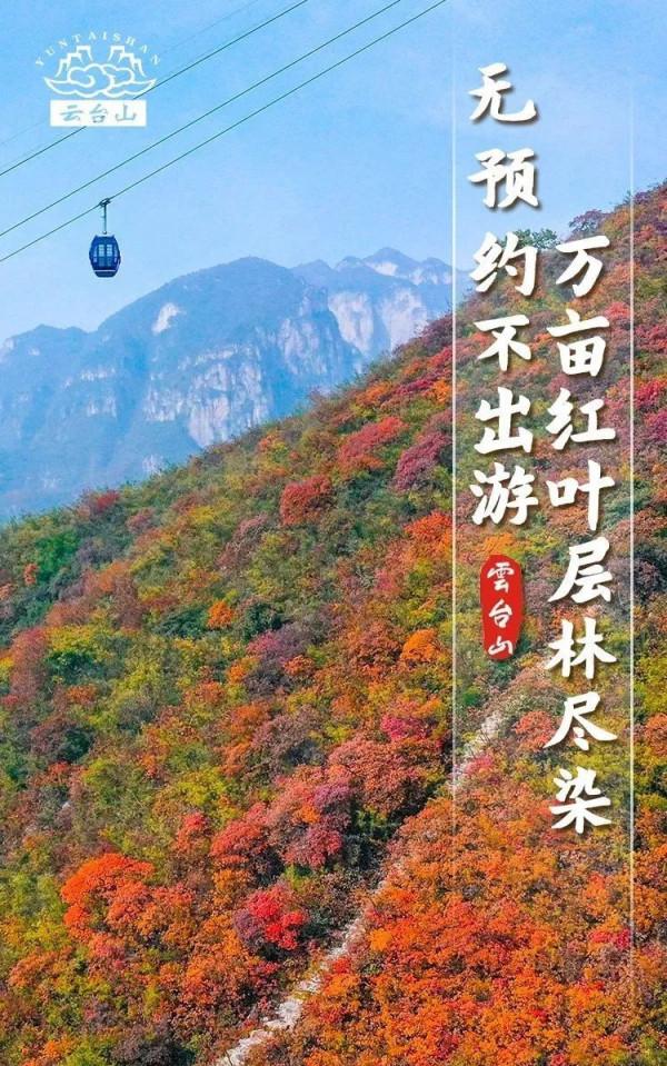 疫情防控安全為首！雲臺山預約出遊賞紅葉