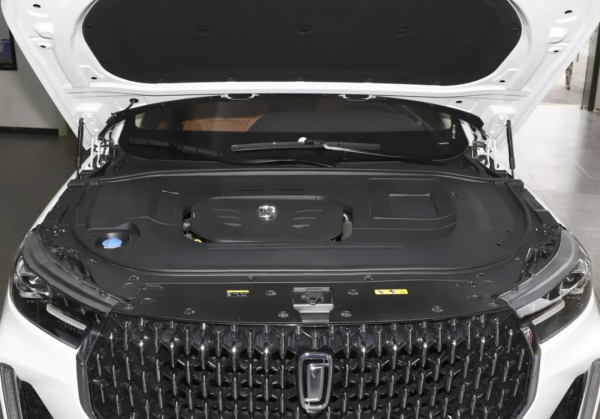 車300：紅旗同平臺，軸距近2米9，全系2.0T，13.49萬起售仍賣不動