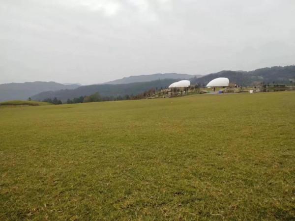 日誌67--仰慕空中草原