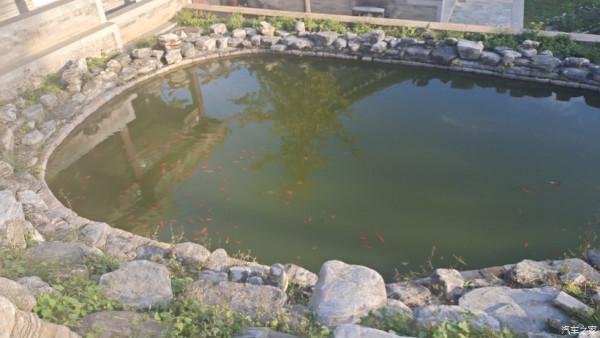 五百年盤龍古松.與秦Plus Dmi探訪千年幽幽古剎！