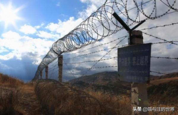 為何不起眼的鐵絲網,在戰場上有大作用?老兵:仔細看看上面是啥 為何不起眼的鐵絲網,在戰場上有大作用?老兵:仔細看看上面是啥