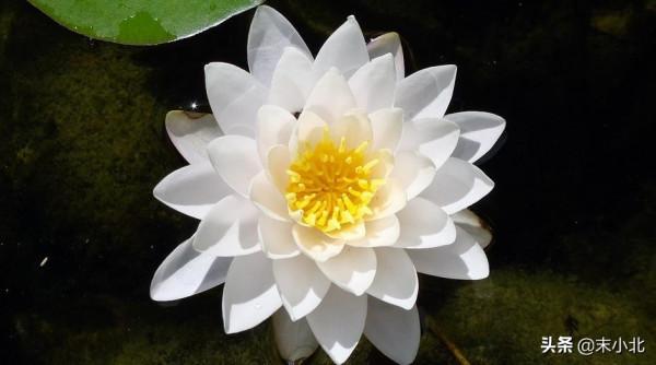 有一種幸運叫:認識你真好 有一種幸運叫:認識你真好