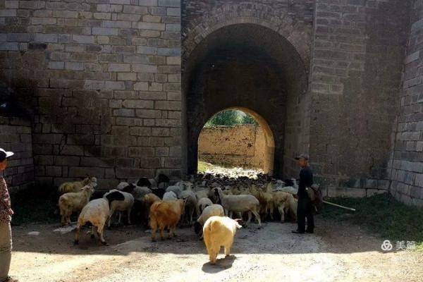 山西，讓我一次愛個夠之四——將軍會堡的“頹”與老營堡的“隆”