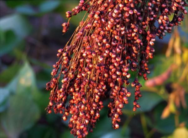 買白酒，甭管價格高低，只要出現“2記號”，就是實打實的純糧酒