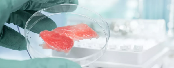 2022年黑科技，都在這裡