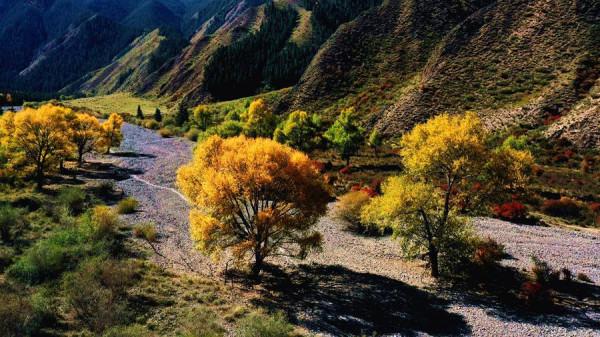 甘肅肅南：如詩如畫秋意濃