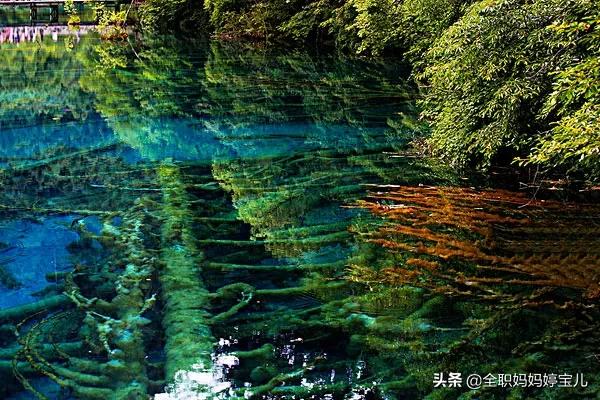 分享——令人迷幻的九寨溝