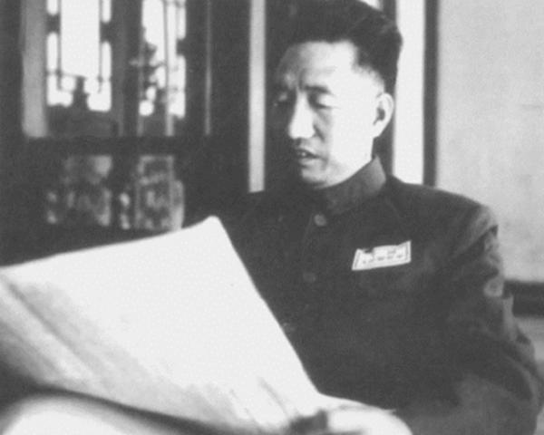 兒子首次領女朋友回家,徐向前親自下廚:滿眼綠油油,肉絲找不到 兒子首次領女朋友回家,徐向前親自下廚:滿眼綠油油,肉絲找不到