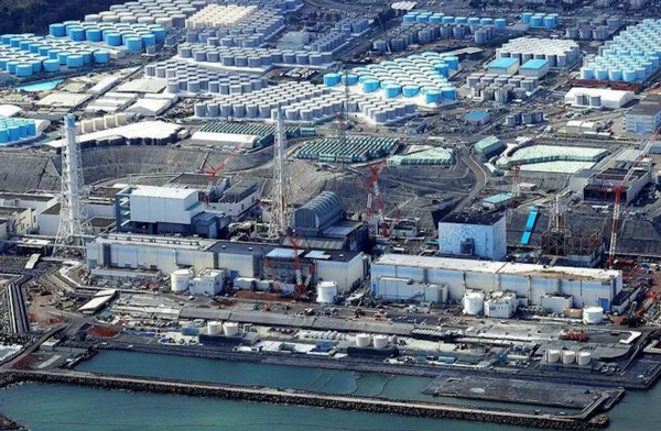 報應來了!日本海魚輻射超標14倍,這下“花錢控評”也沒用了 報應來了!日本海魚輻射超標14倍,這下“花錢控評”也沒用了