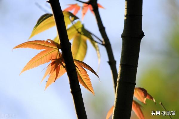 《尉繚子》原文 譯文(十七) 《尉繚子》原文 譯文(十七)