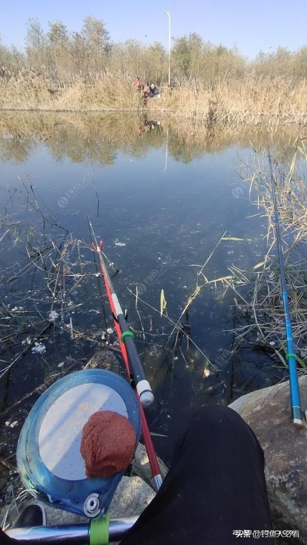 初冬用蚯蚓還是商品餌,實戰出真知 初冬用蚯蚓還是商品餌,實戰出真知