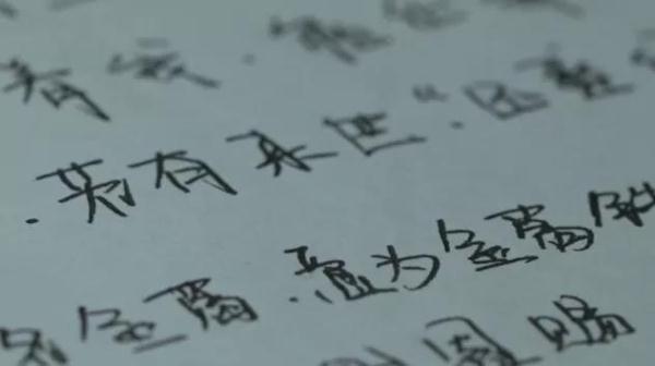 會8種語言,曾負傷23處……他在喀喇崑崙衛國戍邊 會8種語言,曾負傷23處……他在喀喇崑崙衛國戍邊