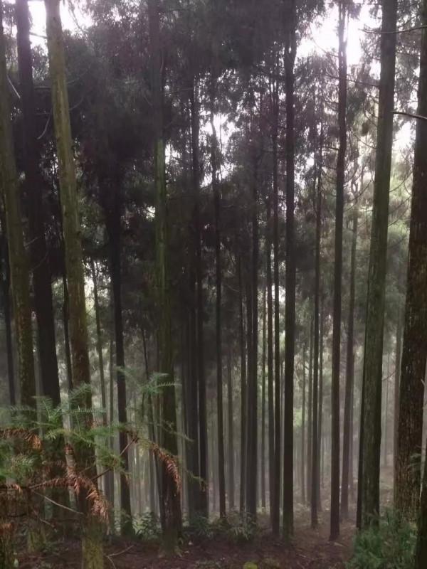 白臘素裹真神山——（二）穿金戴銀徒步線（羅平）