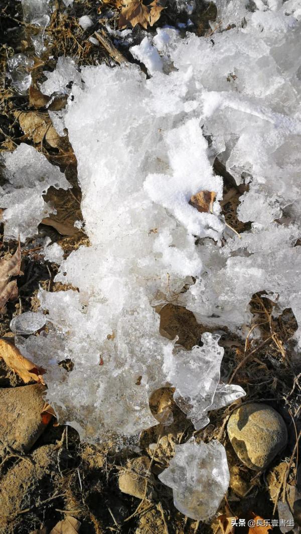 虎年初五遊覽白河城市森林公園