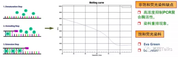 分子技術丨HRM檢測技術介紹 分子技術丨HRM檢測技術介紹