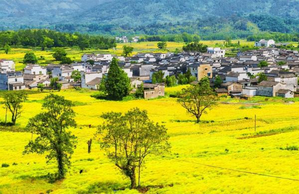 這才是11月最推薦去的景點，秋色正美還小眾，適合閒居兩三日