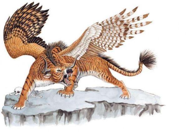 長著翅膀的老虎—虎鷹