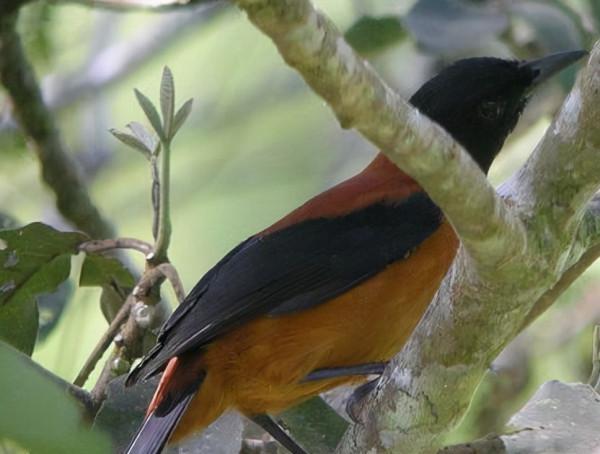 10個你不知道的冷知識,北京是什麼時候建成的? 10個你不知道的冷知識,北京是什麼時候建成的?