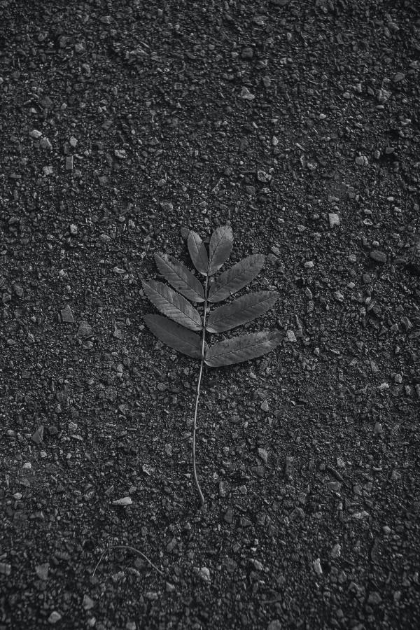 遇到社會垃圾怎麼辦?兩個簡單的辦法氣死他 遇到社會垃圾怎麼辦?兩個簡單的辦法氣死他