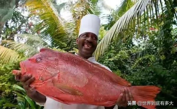 “塞席爾”現狀，比我國還富的非洲國家，帶你看看真實的塞席爾