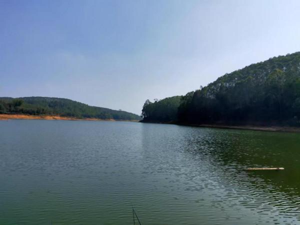 冬天釣魚怎麼釣