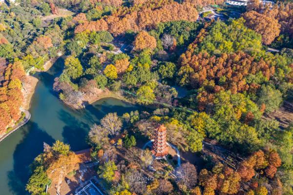 武漢人究竟多愜意?46萬平方米的城市公園猶如森林一般,景色醉人 武漢人究竟多愜意?46萬平方米的城市公園猶如森林一般,景色醉人