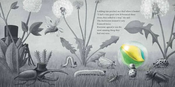 2021年《紐約時報》十佳兒童繪本 | 每一本都值得細細欣賞 2021年《紐約時報》十佳兒童繪本 | 每一本都值得細細欣賞