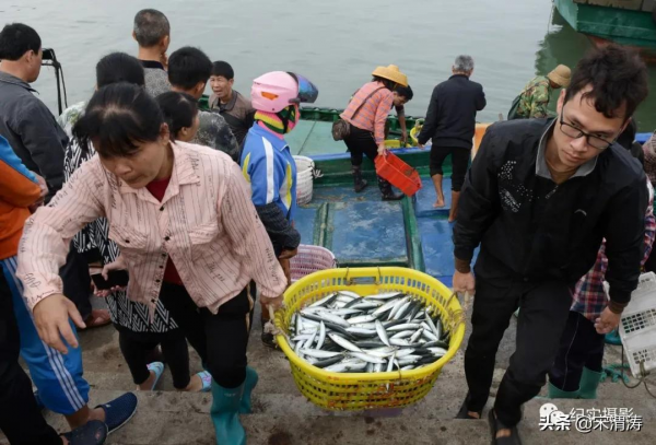 吳鍾飛：臘月漁鄉港北