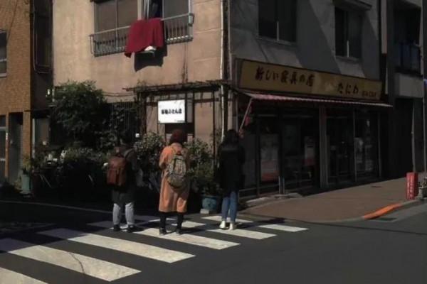 處女座：高冷慢熱挑剔顏控