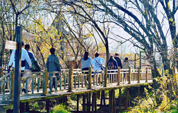 自帶濾鏡！最浪漫的秋天非她莫屬！