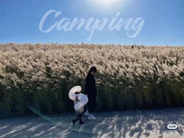 蘆葦搖，花絮飄！快來拍美美的冬季浪漫大片吧！