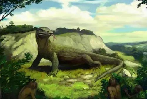 澳洲魔龍——古巨蜥