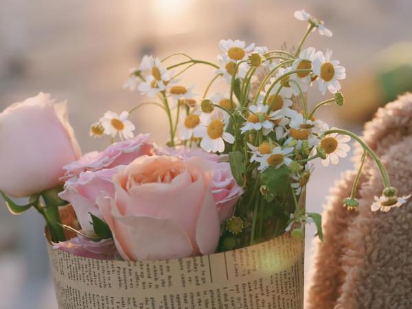 看似很溫柔，實則有野心的星座，他們都特別會隱忍