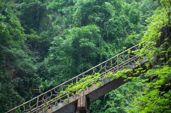 何必去黃果樹!廣東有超美嶺南第一瀑,藏在山谷幽深處,景美人少 何必去黃果樹!廣東有超美嶺南第一瀑,藏在山谷幽深處,景美人少