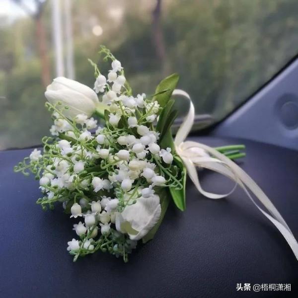 那些植物界的愛馬仕