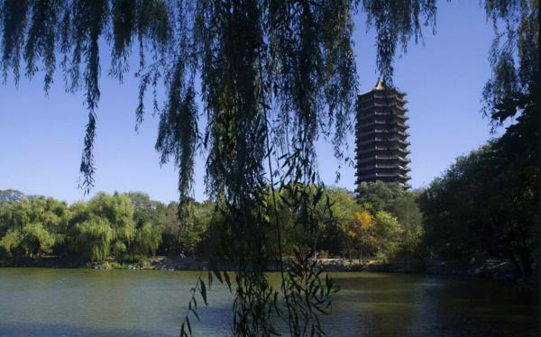 新疆女孩656分考入北京大學,家長歡天喜地,但是卻遭到網友非議 新疆女孩656分考入北京大學,家長歡天喜地,但是卻遭到網友非議