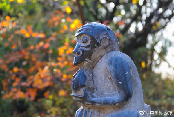 北京香山公園：漫山彩葉惹人醉