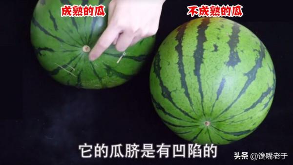 挑西瓜別拍來拍去惹人笑,看準這2點,又沙又甜,瓜販也不得不服 挑西瓜別拍來拍去惹人笑,看準這2點,又沙又甜,瓜販也不得不服