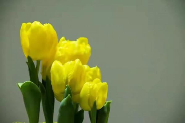 訂婚第三天，男子突然反悔、不願再娶：她一家人真的太&OpenCurlyDoubleQuote;有心機&rdquo;