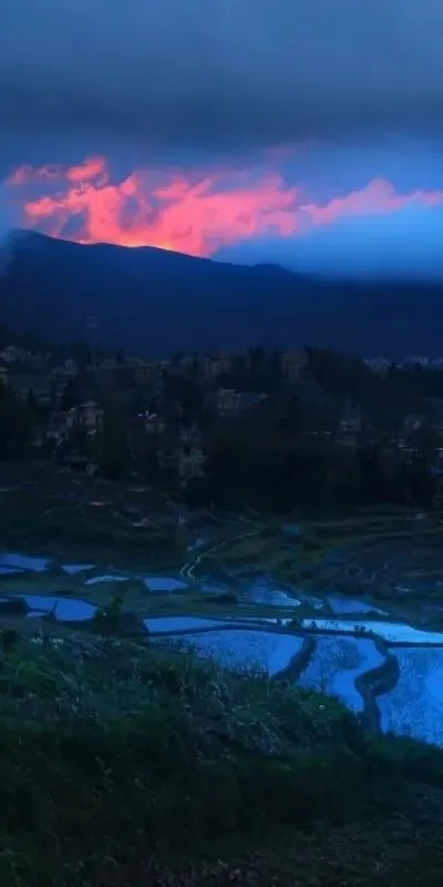 《12月限定丨國內旅行目的地指南》