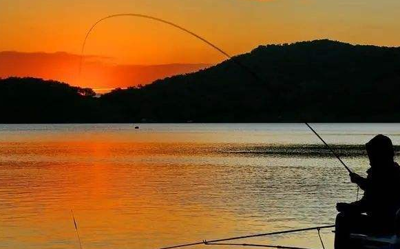 猛攻釣具粉絲團活動翻車，廠商主播無論如何標榜還是粉絲當韭菜割