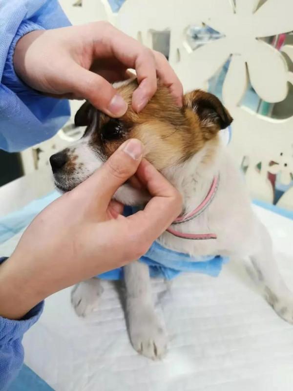 救助故事丨希望，它來了