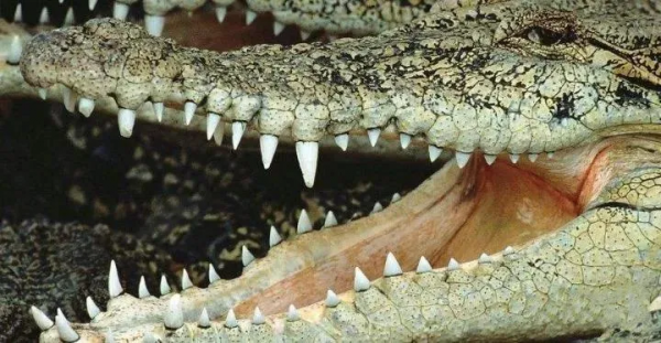 屌絲的逆襲！紅脖鐵匠也有藝術天才&mdash;&mdash;拉瑞福根作品賞析心得