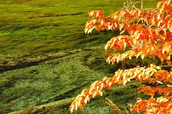 11月，國內這9個絕美山水之地，美成了一幅畫！隨手一拍都是桌布