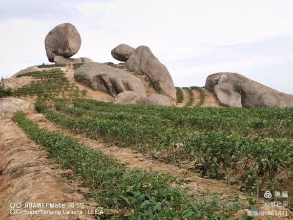 朋友圈2021年第31期